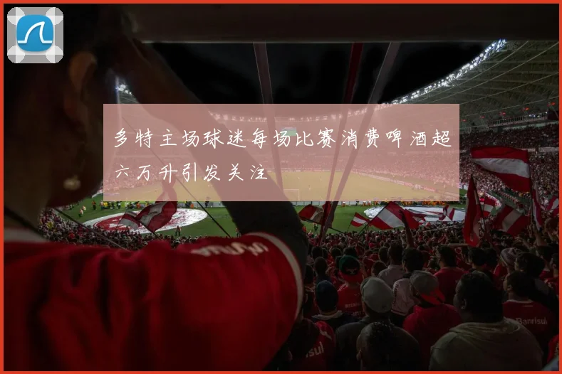 多特主场球迷每场比赛消费啤酒超六万升引发关注