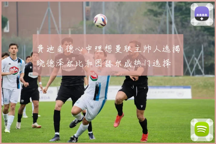 费迪南德心中理想曼联主帅人选揭晓德泽尔比和图赫尔成热门选择